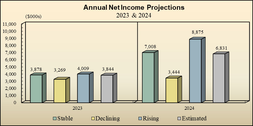 Annual Net Income Projections